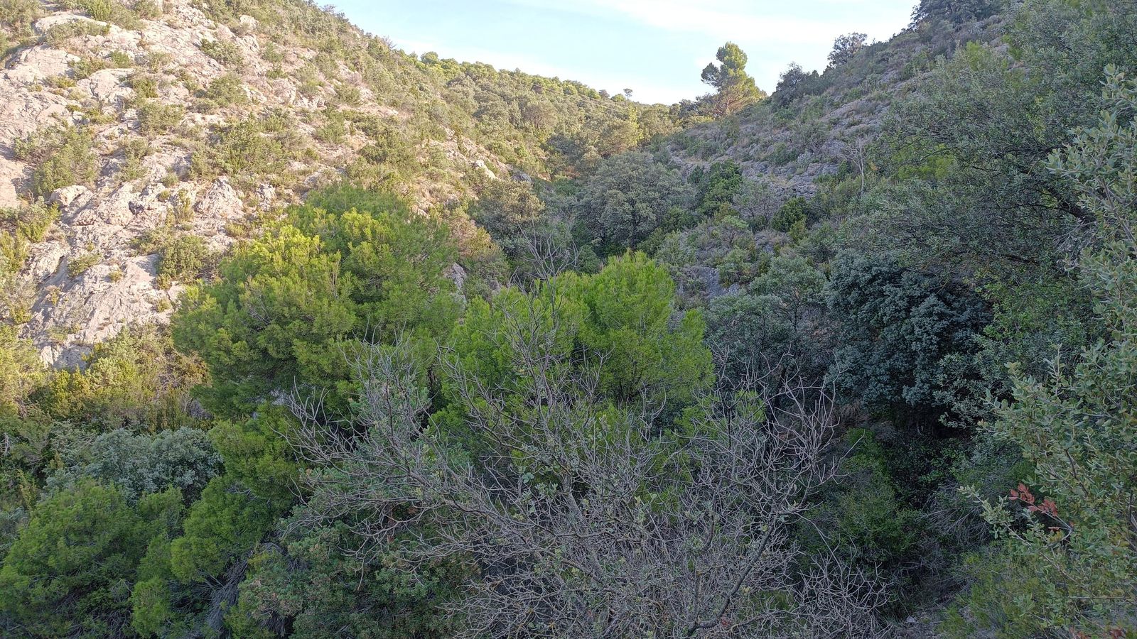 Siempre vamos a ir por un paisaje muy verde.
