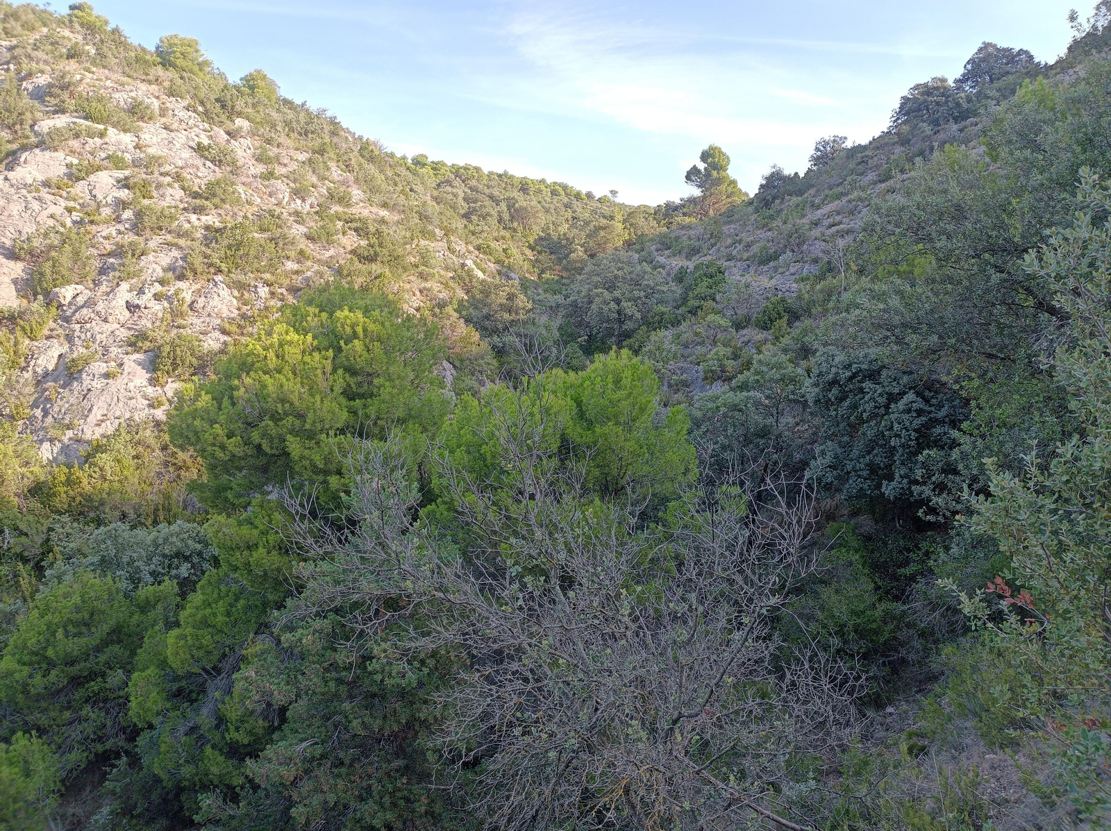 Siempre vamos a ir por un paisaje muy verde.