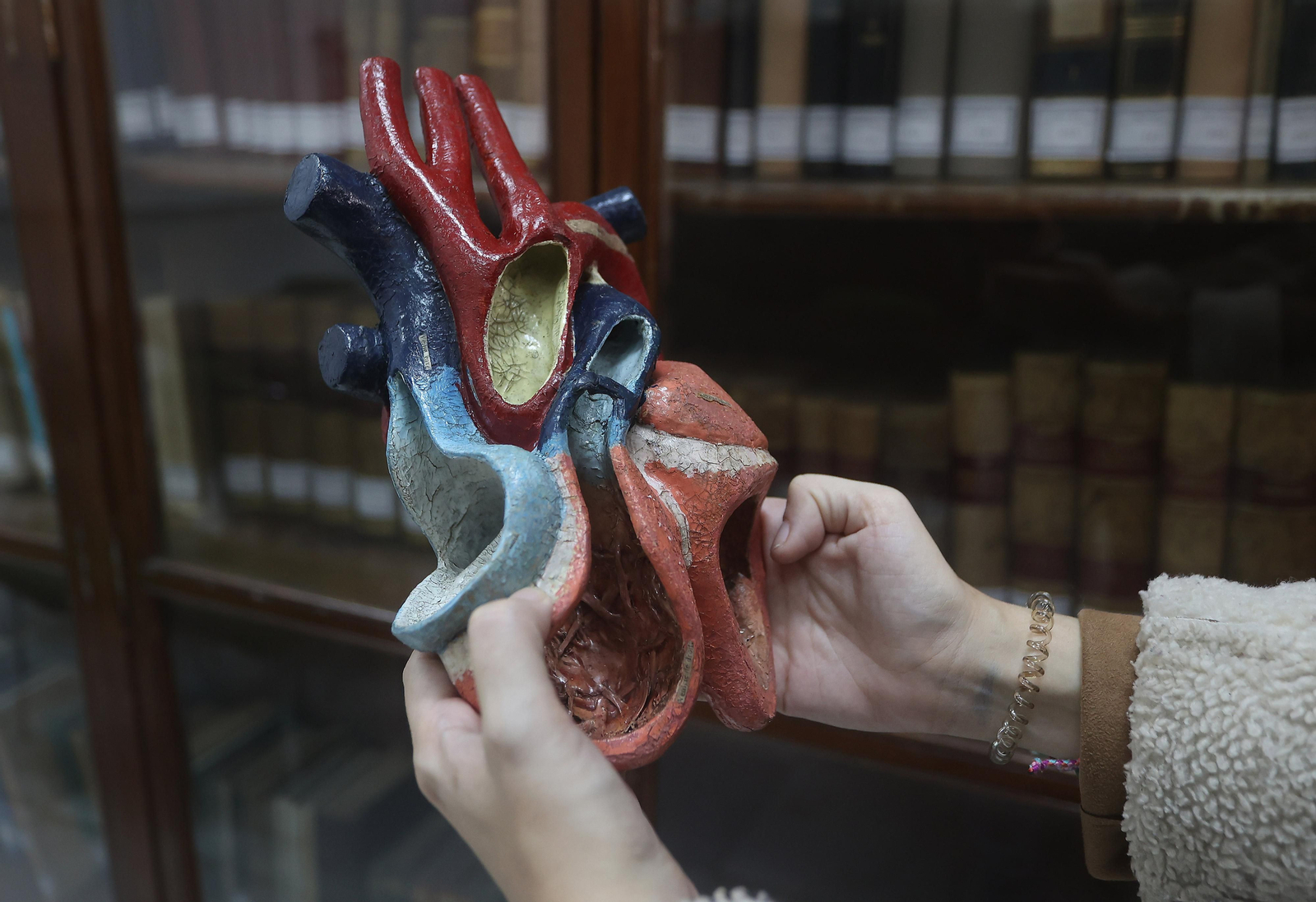 Restauración de esculturas anatómicas usadas con fines docentes entre el siglo XVIII y el XX en la Facultad de Medicina de la US