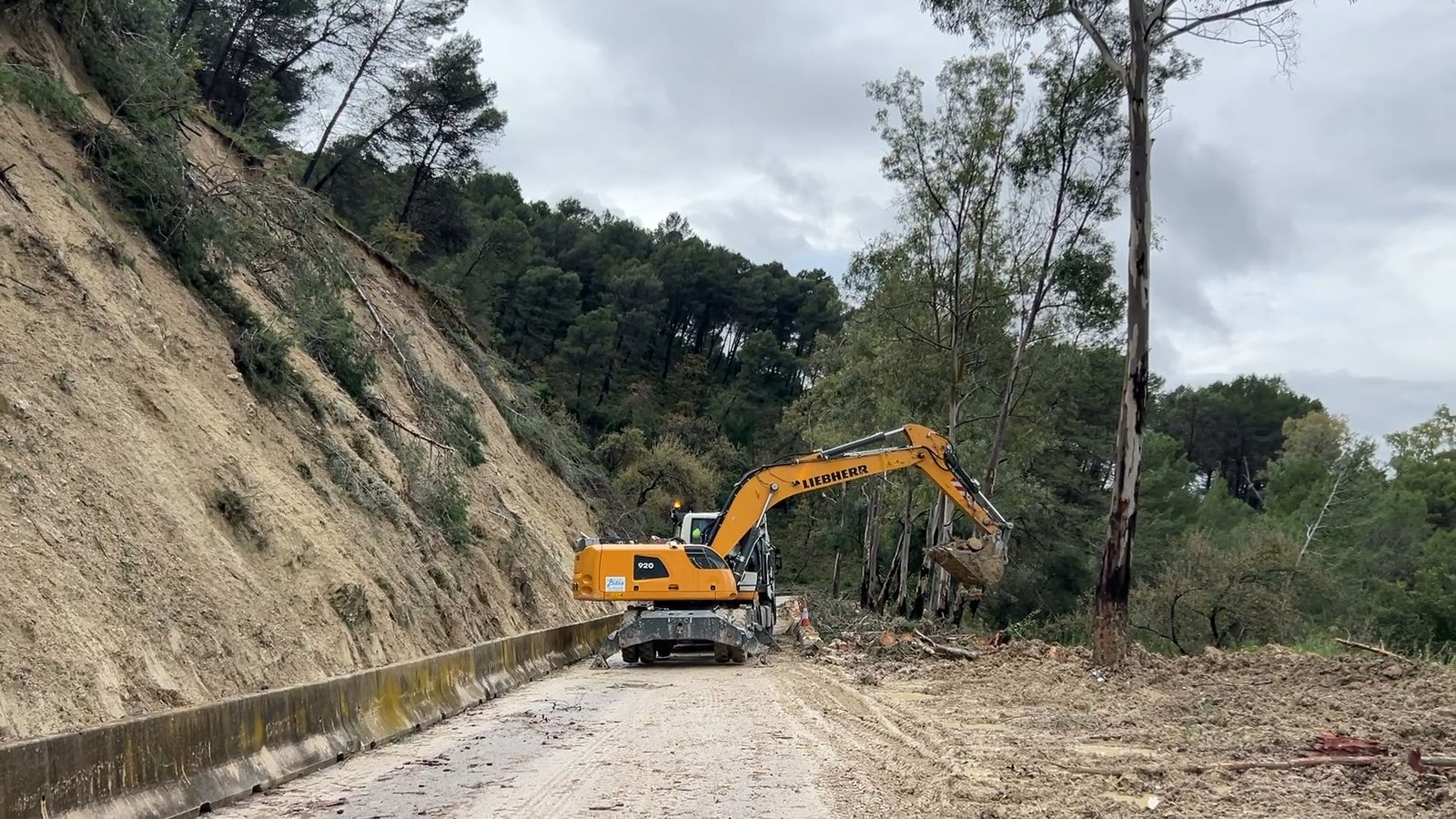 El estado de la carretera de Benamahoma con El Bosque tras las últimas lluvias