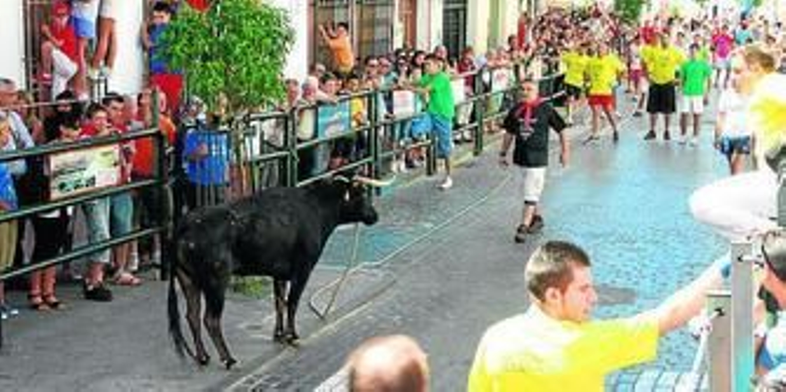 Un momento de la suelta del toro de cuerda. Un momento de la suelta del toro de cuerda.