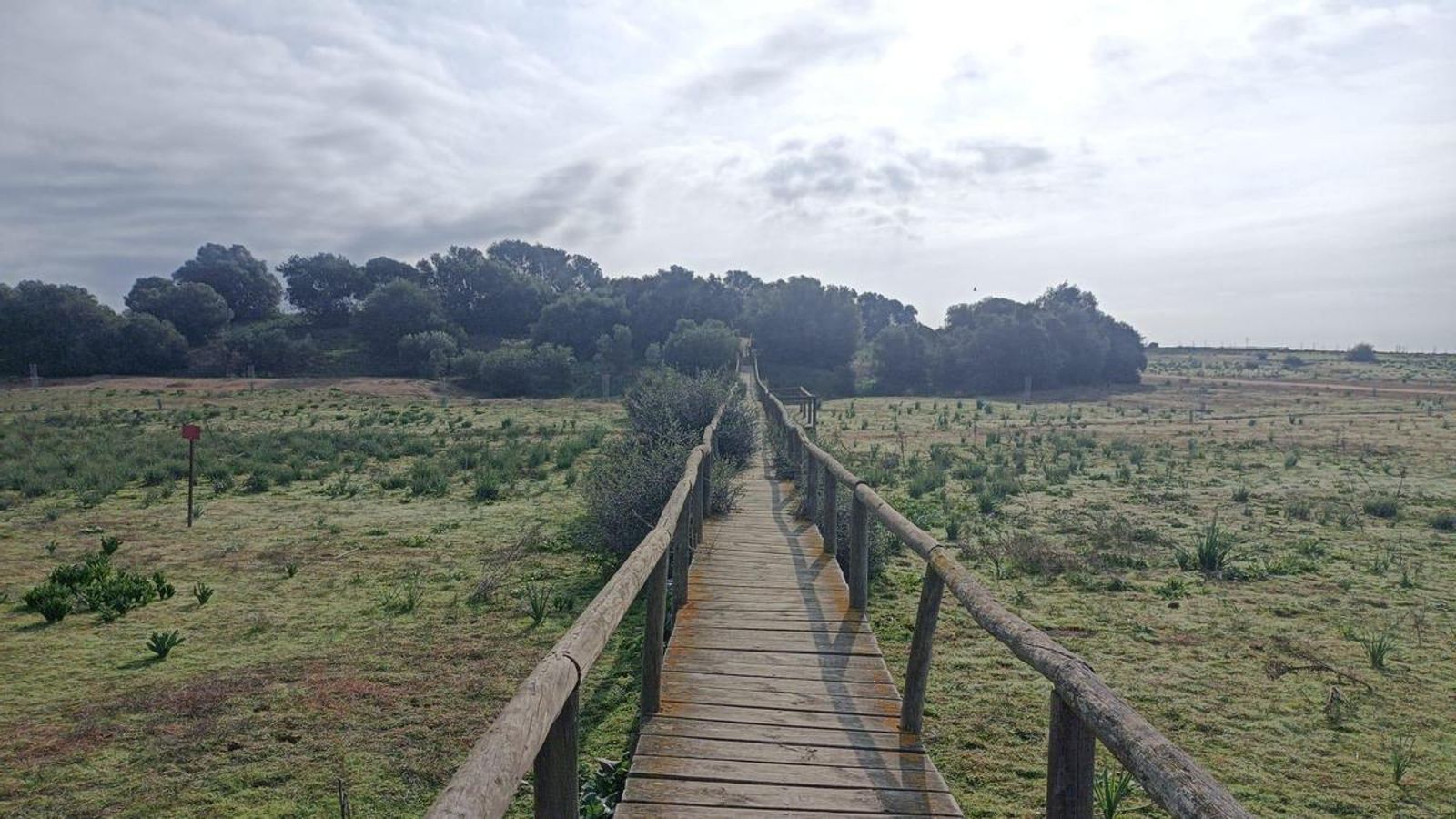 Camino sobre tablas por una zona inundable