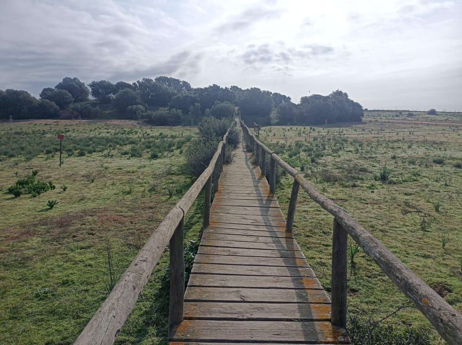 Camino sobre tablas por una zona inundable