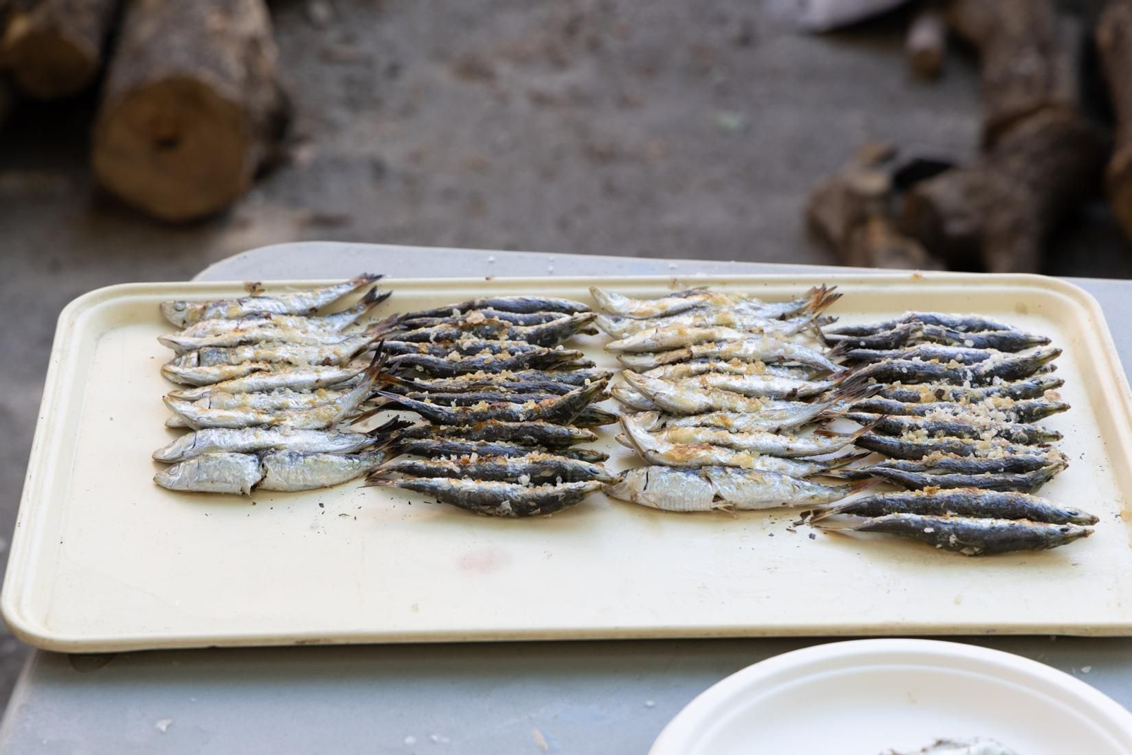 La "exitosa" Primera Gran Espetada del Gran Eje, en imágenes