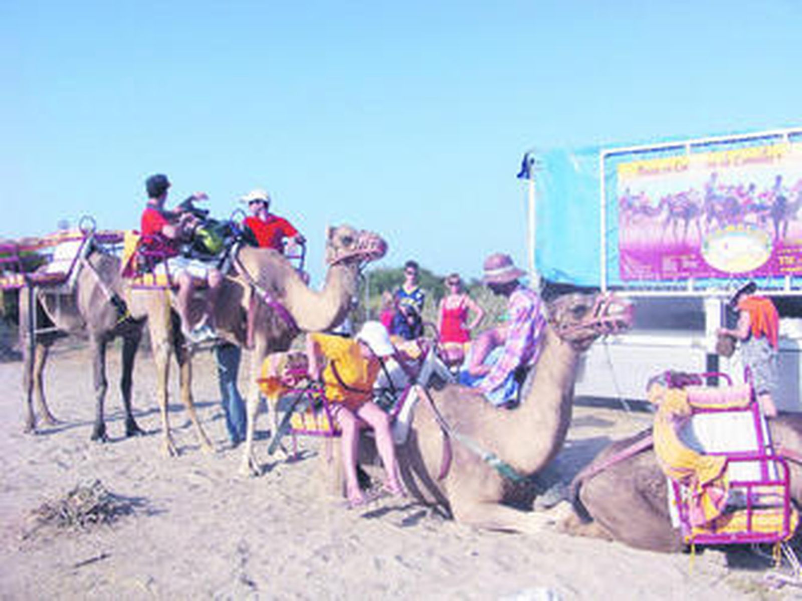Los pasajeros se disponen a realizar una ruta mojaquera en camello.