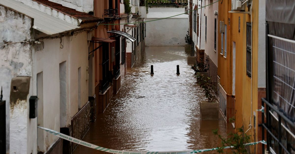 El temporal mantiene unas 20 carreteras con incidencias en Sevilla