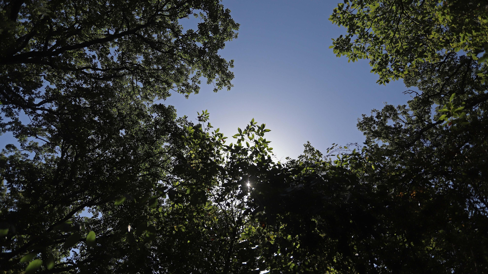 Las mejores fotos de la Montera del Torero y Valdeinfierno