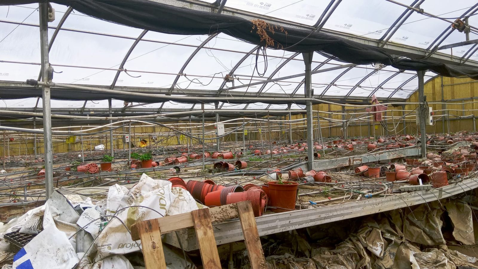 Uno de los viveros afectados.