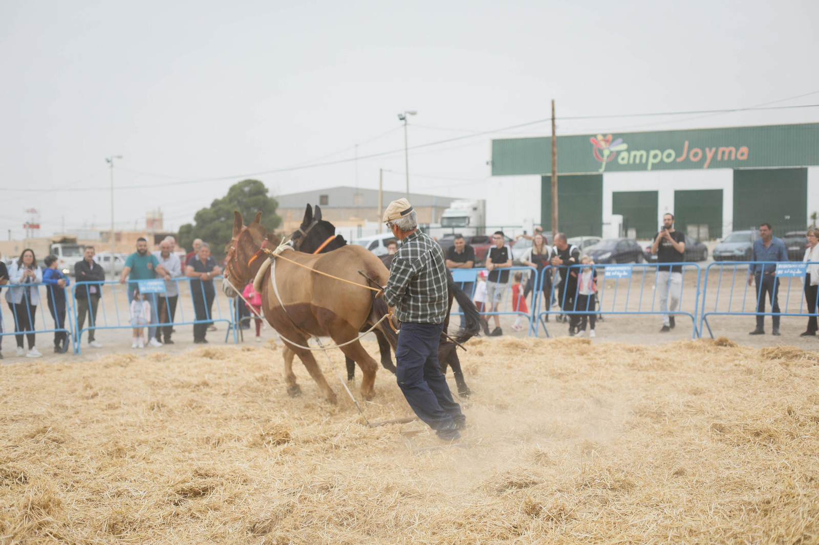 Galería de la Feria  de ganado en Tarambana