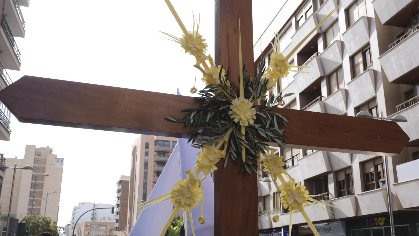 Imágenes de la Procesión de la Borriquita de Almería