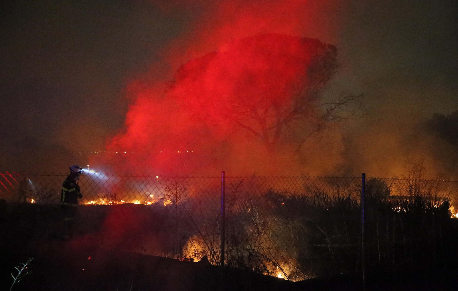 Fotos del incendio de vegetación en La Ermita