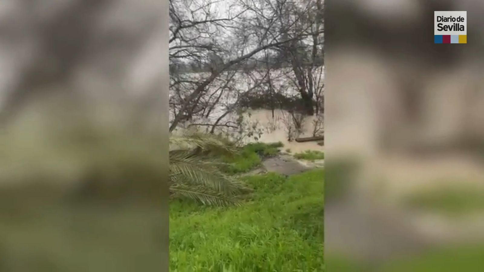 Fuertes rachas de viento sacuden San Juan de Aznalfarache