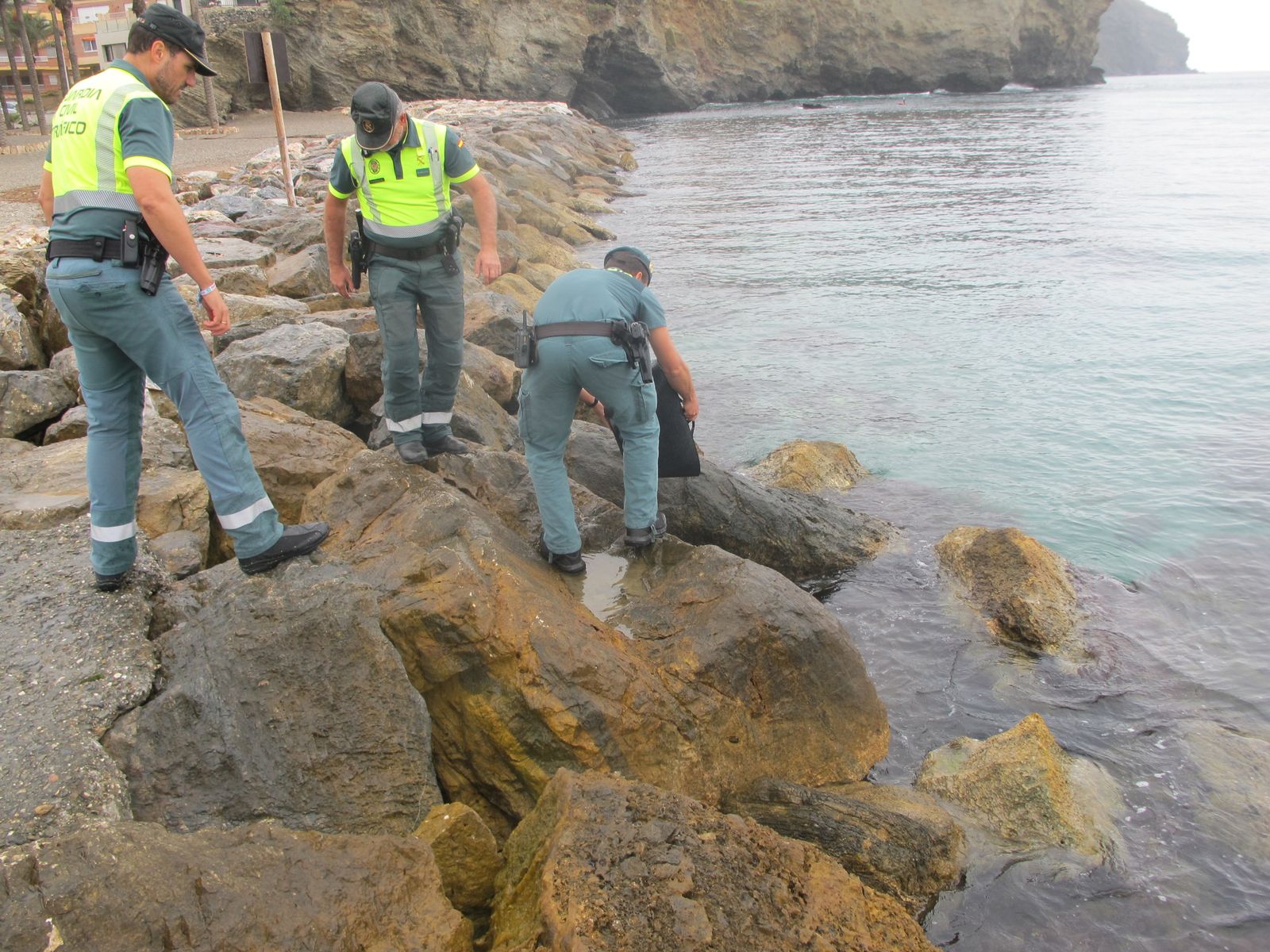 Los agentes liberaron las ortillas en el mar