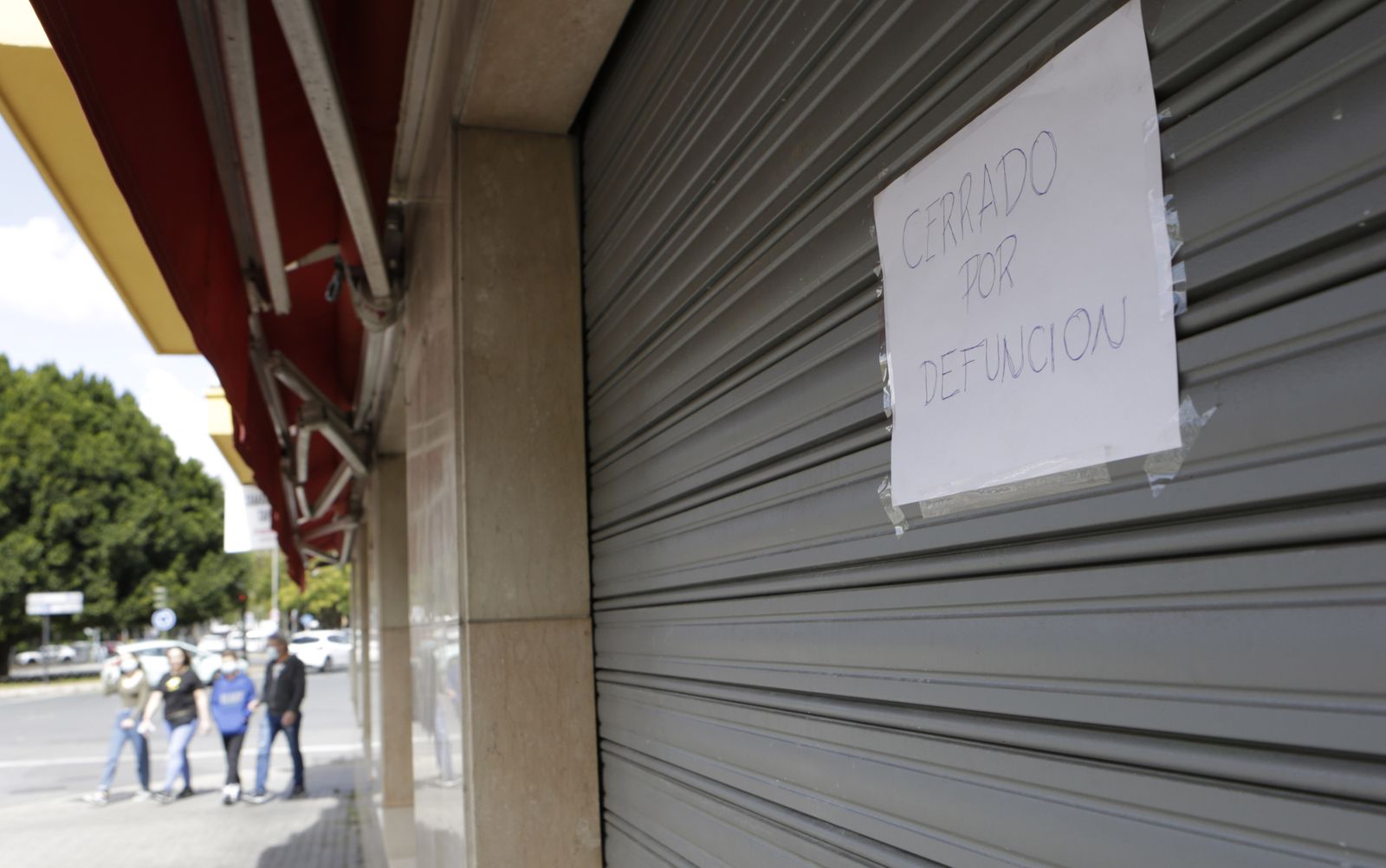 Imágenes del dispositivo policial para encontrar al autor del atropello