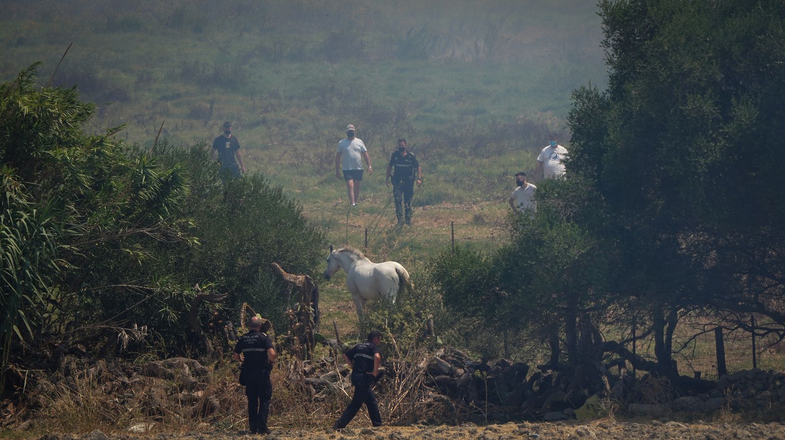 Así fue la salvación de las llamas de una manada de caballos en La Teja