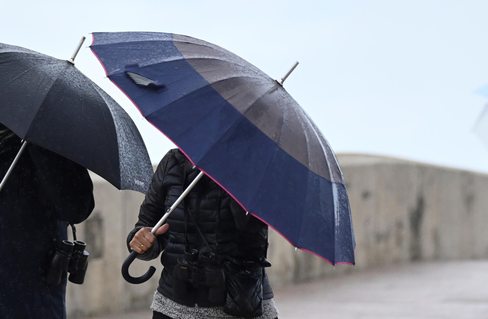 El paso por la borrasca Konrad por Córdoba, en imágenes