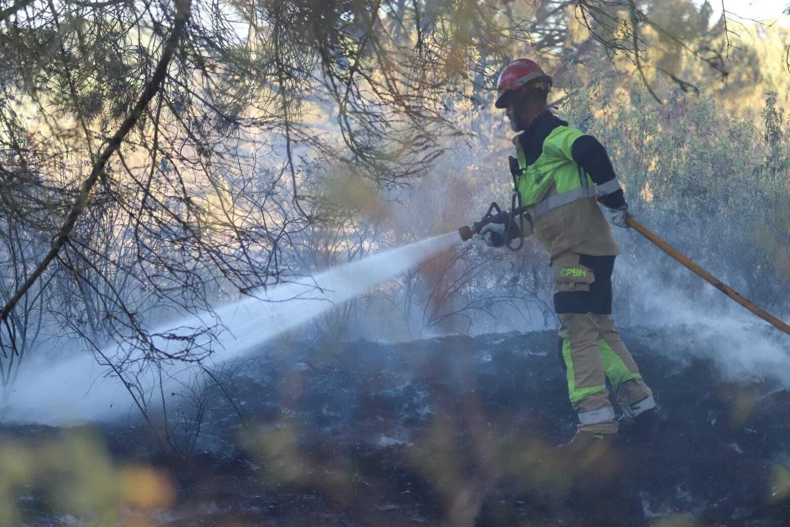 Fuego en la laguna de El Portil: las imágenes del incendio