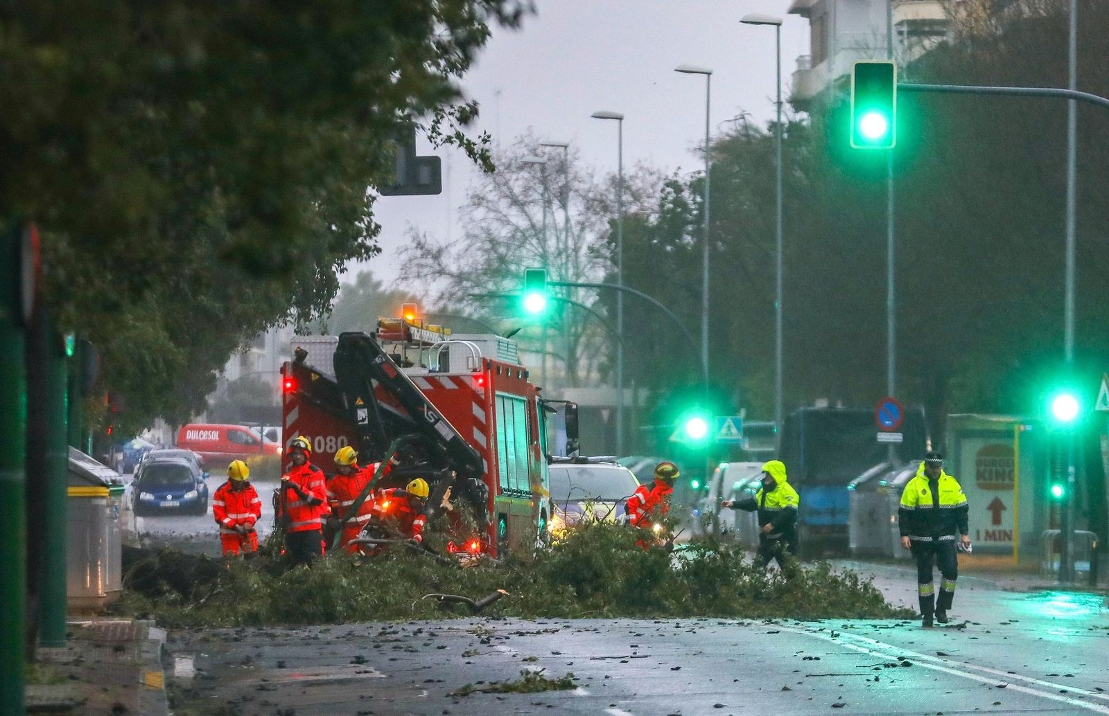 Bomberos y policías locales trabajan en la retirada de un árbol en Sevilla, este miércoles.