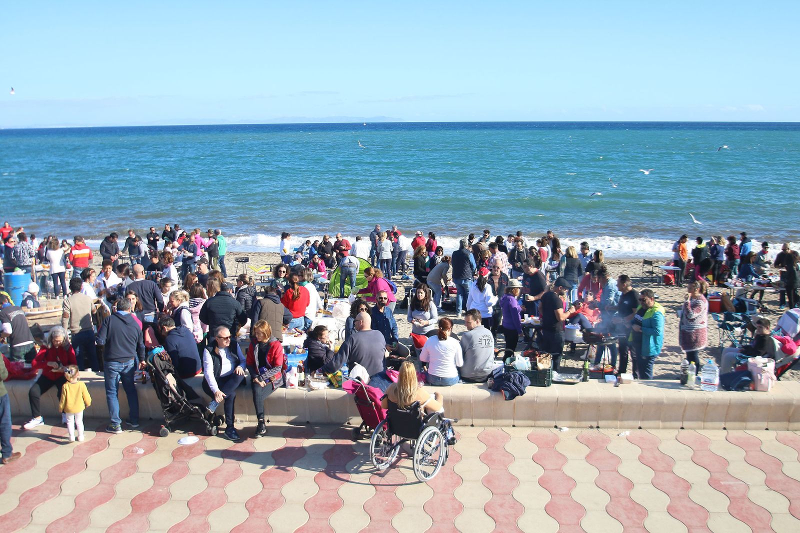 Fotogalería de las moragas de Roquetas de Mar