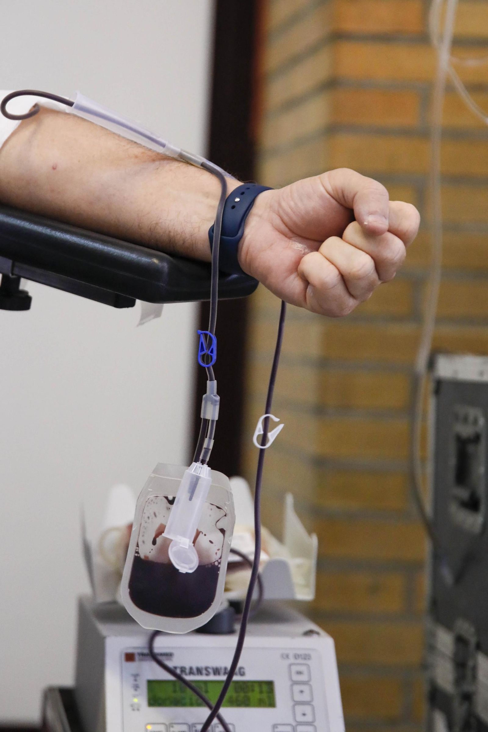 La colecta de sangre y plasma en la Universidad de Almería, en imágenes