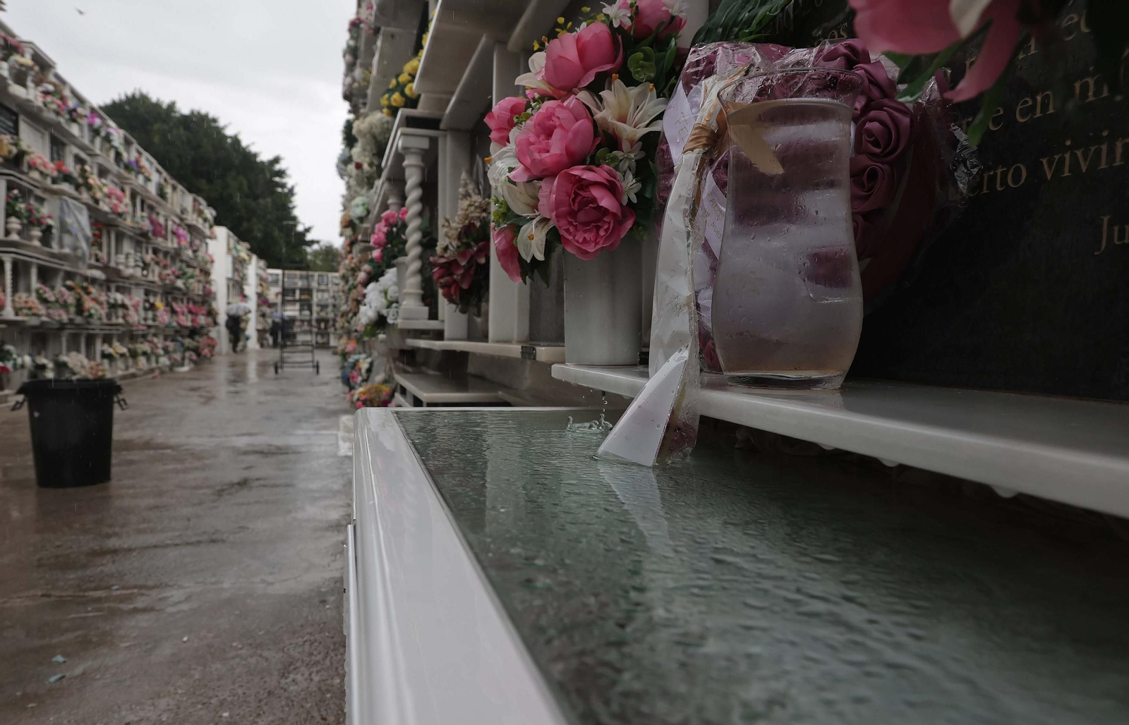Fotos de los preparativos para Tosantos en el cementerio de Algeciras