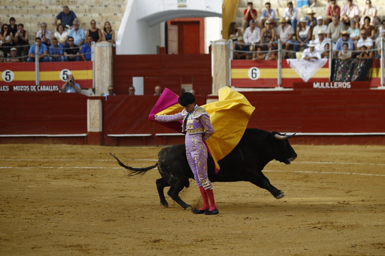 Imágenes de la novillada de la Feria de Almería 2025