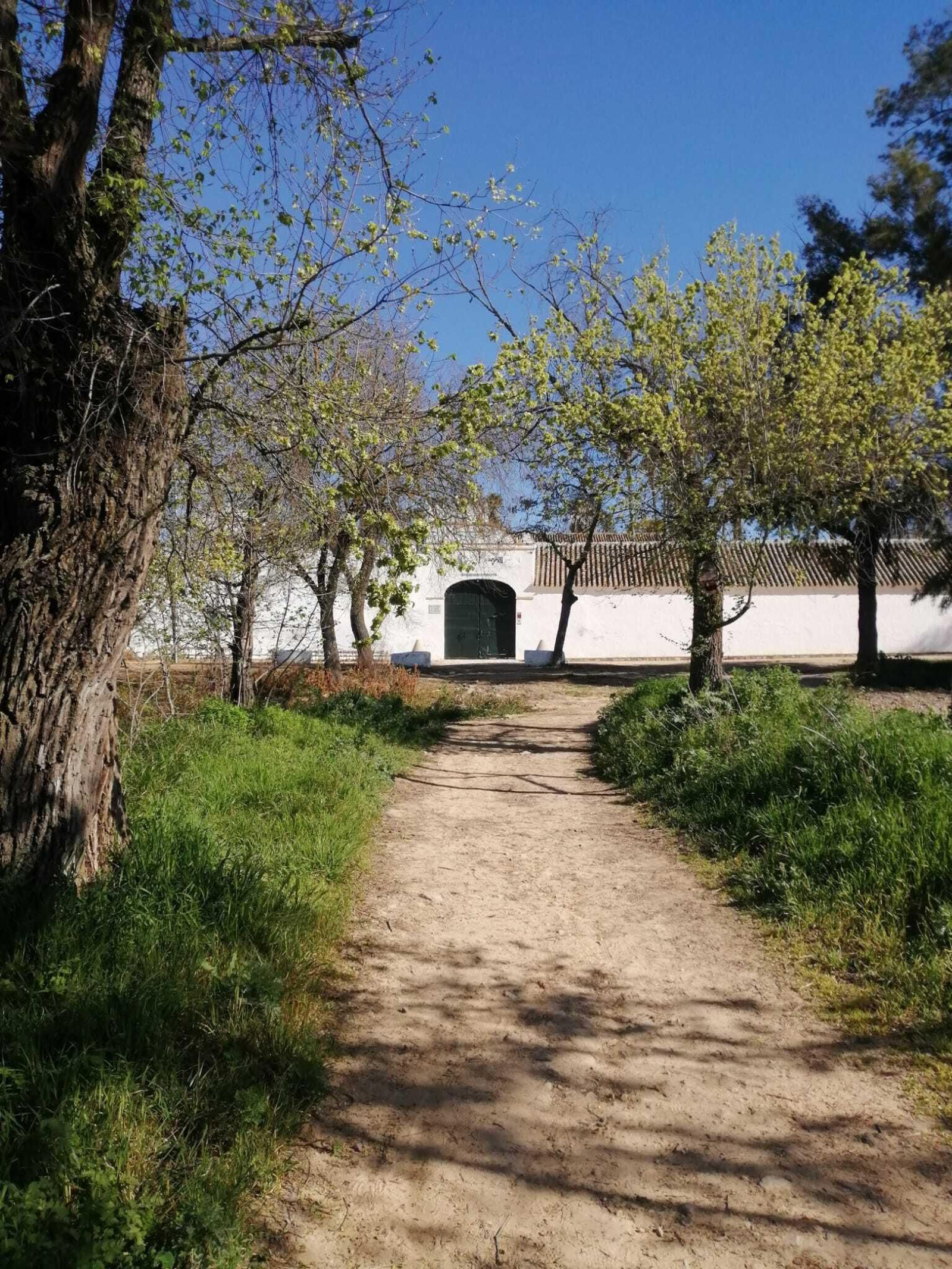 Las imágenes de la ruta Valencina-Dolmend e Matarrubilla