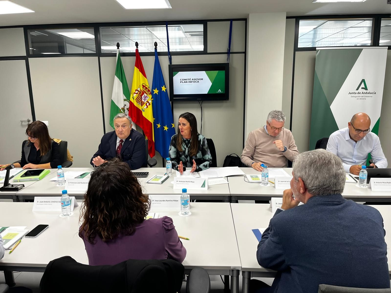 Comité Asesor del Plan Infoca celebrado este jueves.
