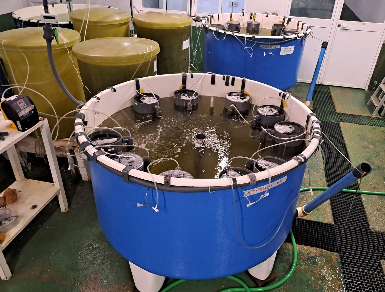 Instalaciones para el cultivo larvario en el centro Ifapa en la provincia de Huelva.