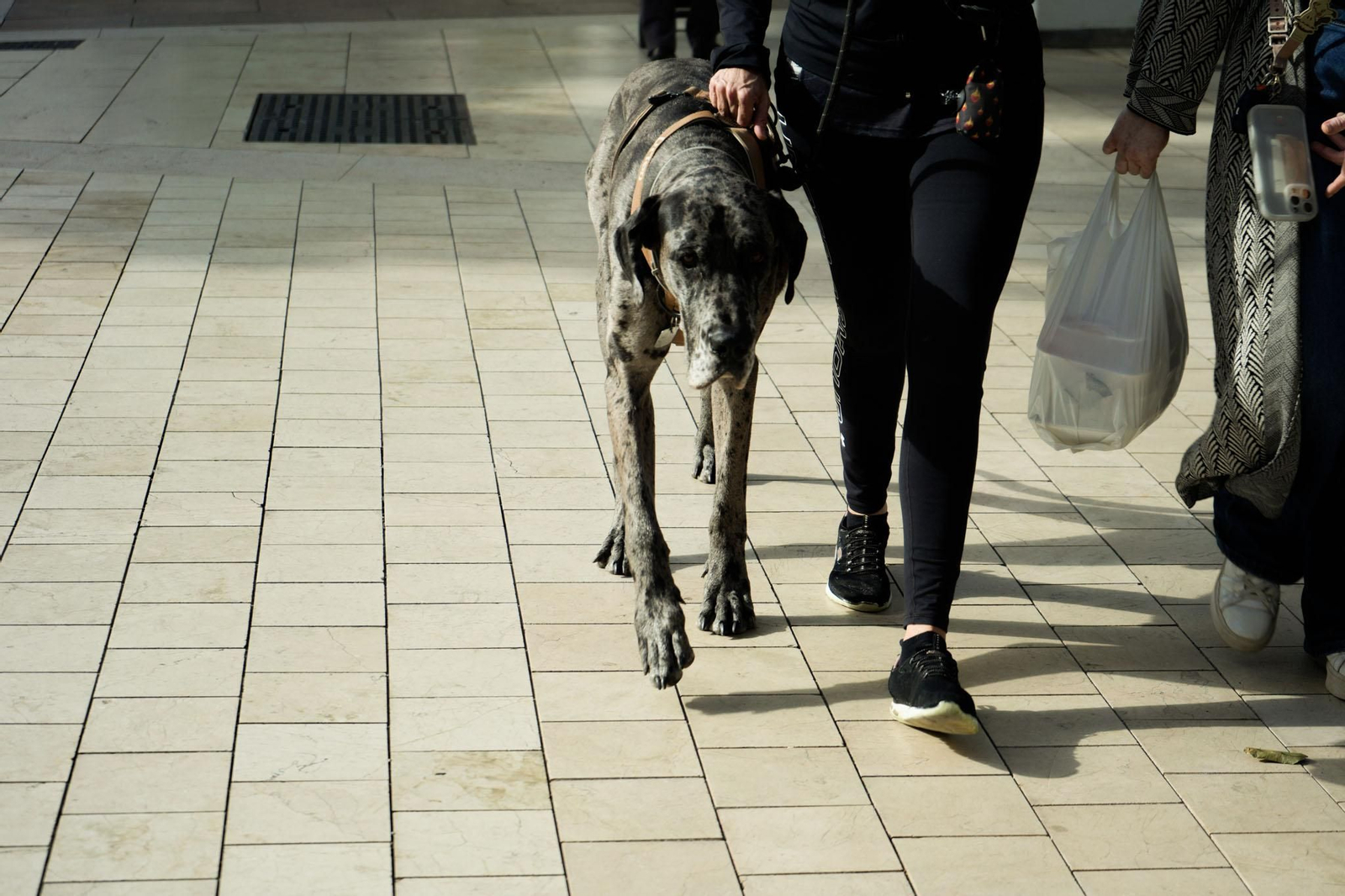 Las imágenes más destacadas del miércoles 9 de abril en Huelva