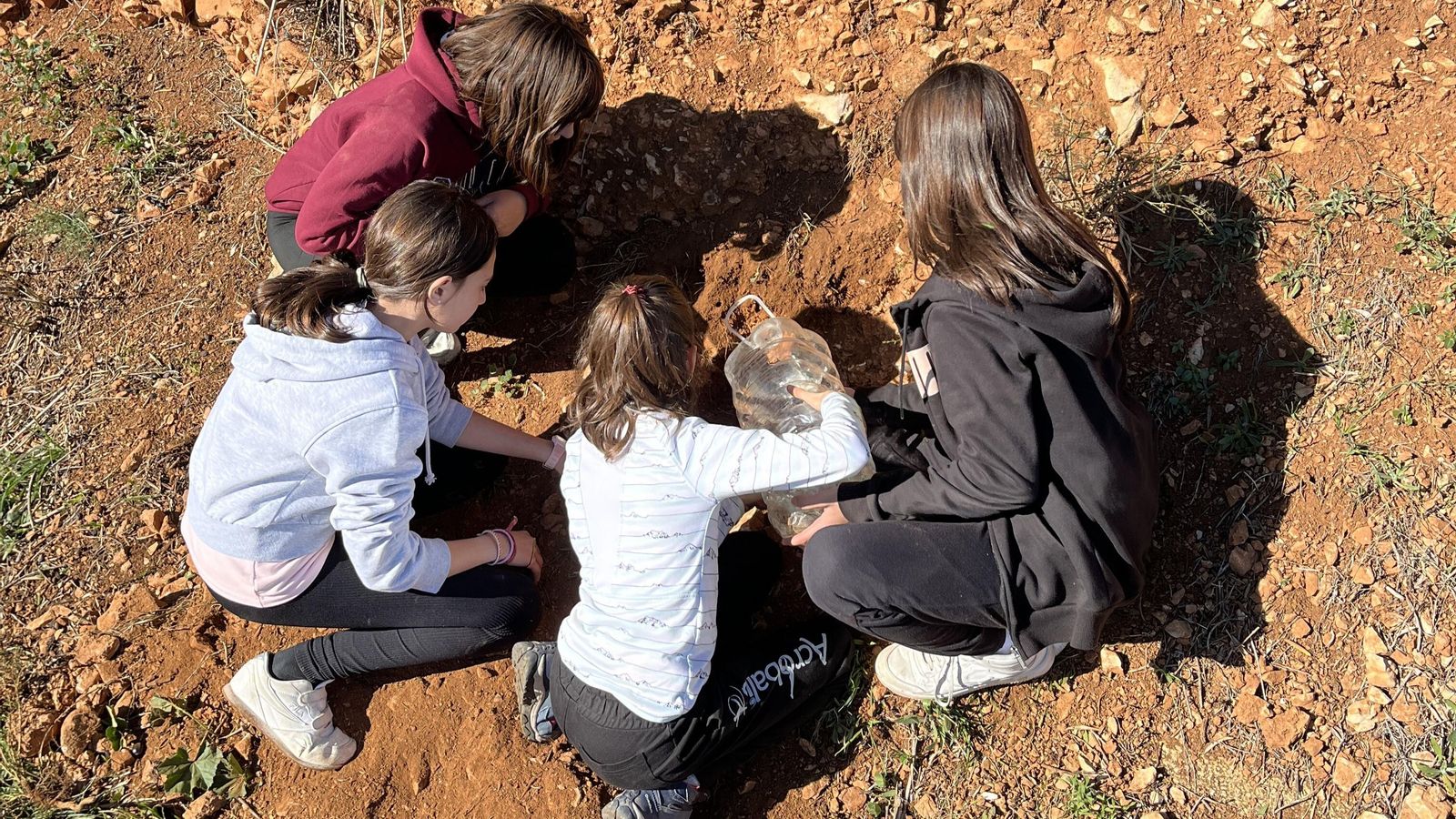 Los alumnos participaron en las labores de reforestación.