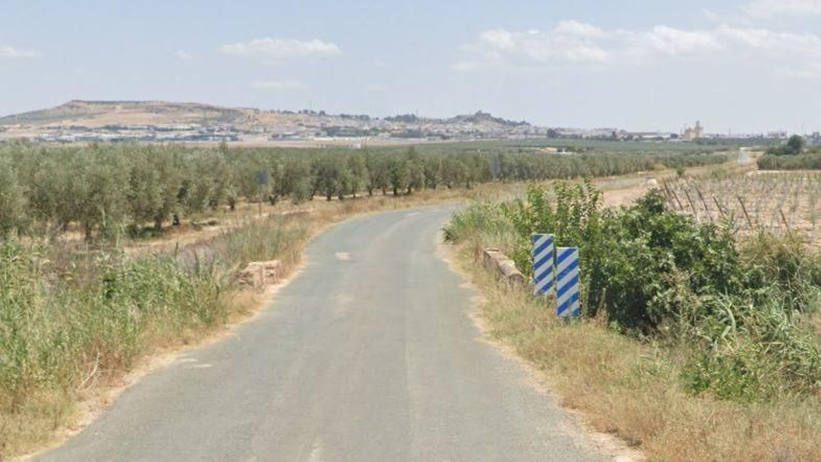 Una de las carreteras que cruzan el arroyo Salado cerca de Osuna (al fondo).