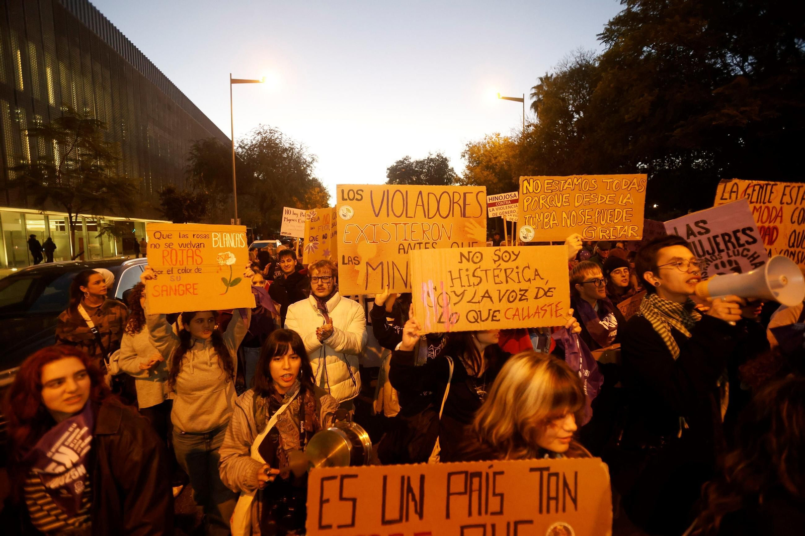 La manifestación del 25N en Córdoba