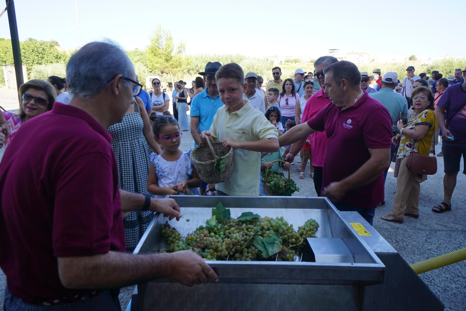 Vendimia infantil de Montilla
