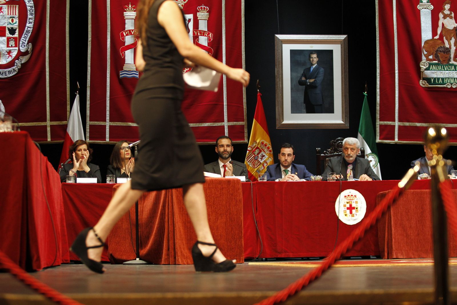 Fotogalería Pleno Constitución Ayuntamiento de Almería