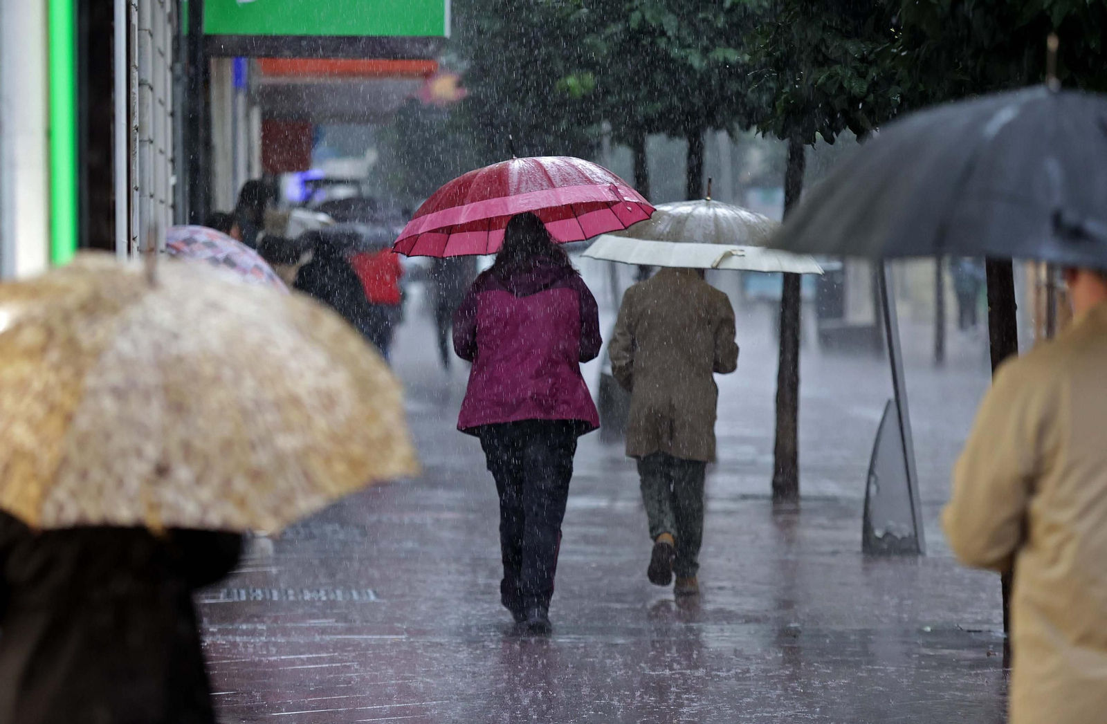Fotos de la alerta naranja por lluvias en Algeciras