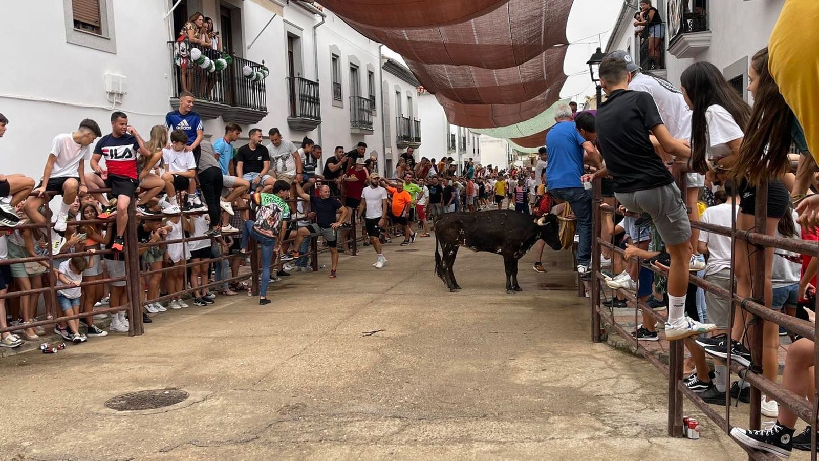 El encierro taurino de Dos Torres por San Roque, en imágenes