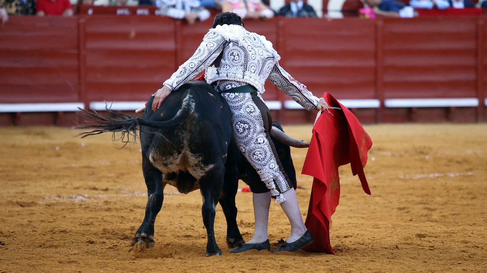 Tercera tarde de toros y última de la Feria de Jerez con Morante, Juan Ortega y Roca Rey