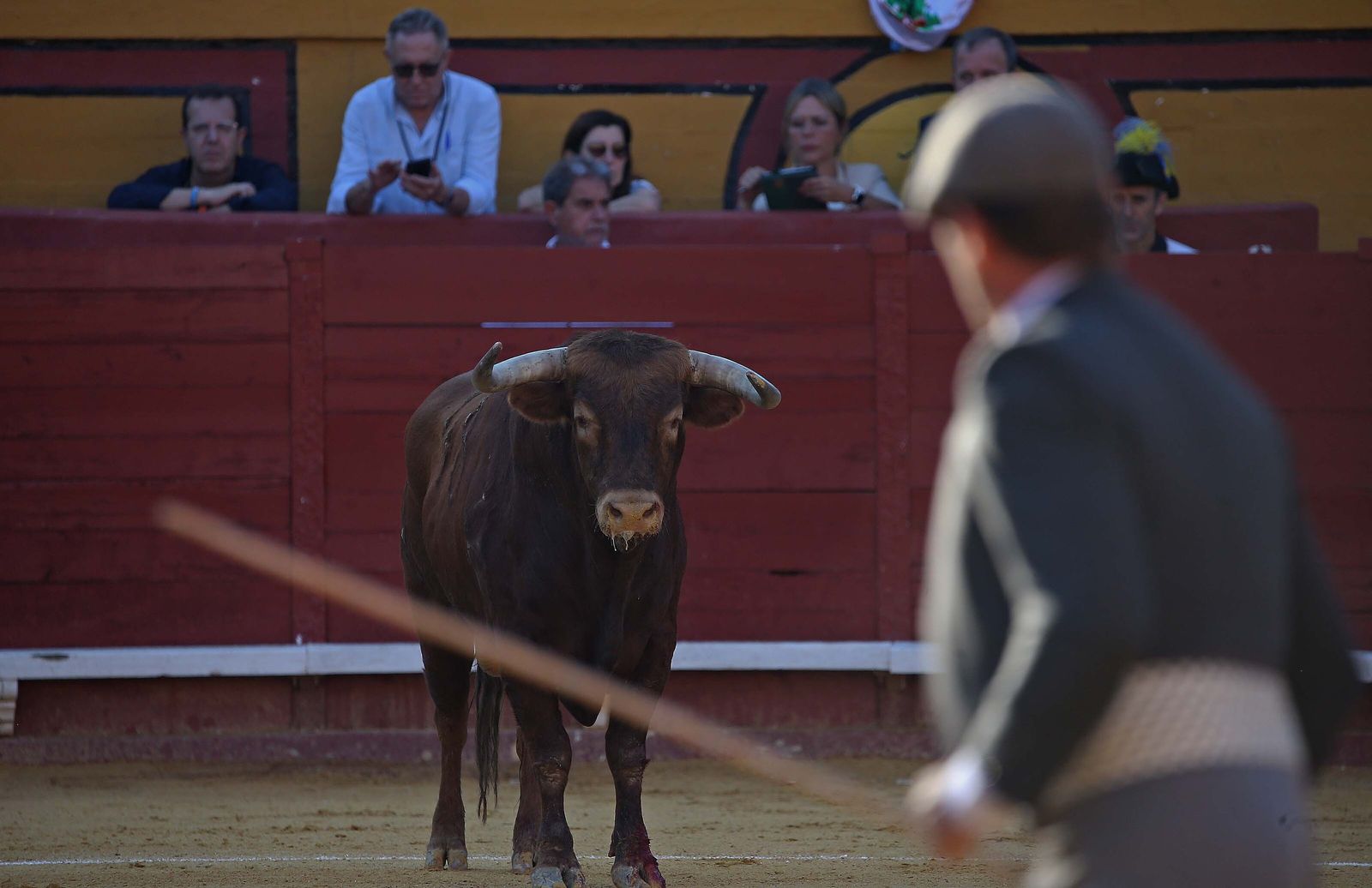 Fotos de la corrida del jueves de la Feria Taurina de Algeciras 2023:  Salvador Vega, Roca Rey y Pablo Aguado