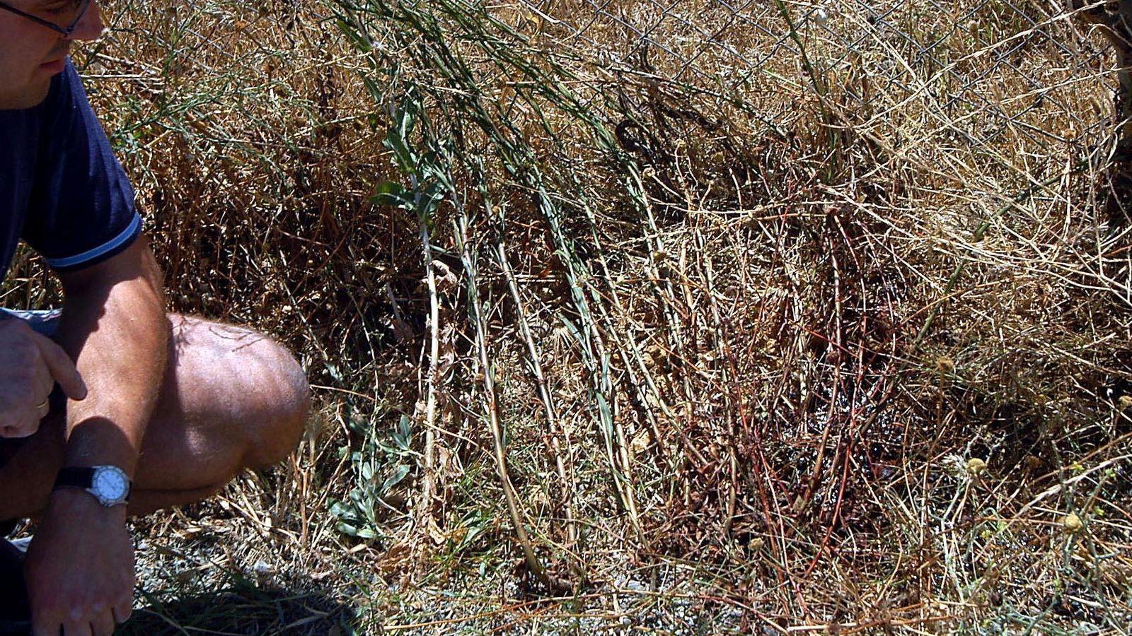 Un vecino del Gordillo observa los restos de sangre del taxista, el 15 de agosto de 2004.