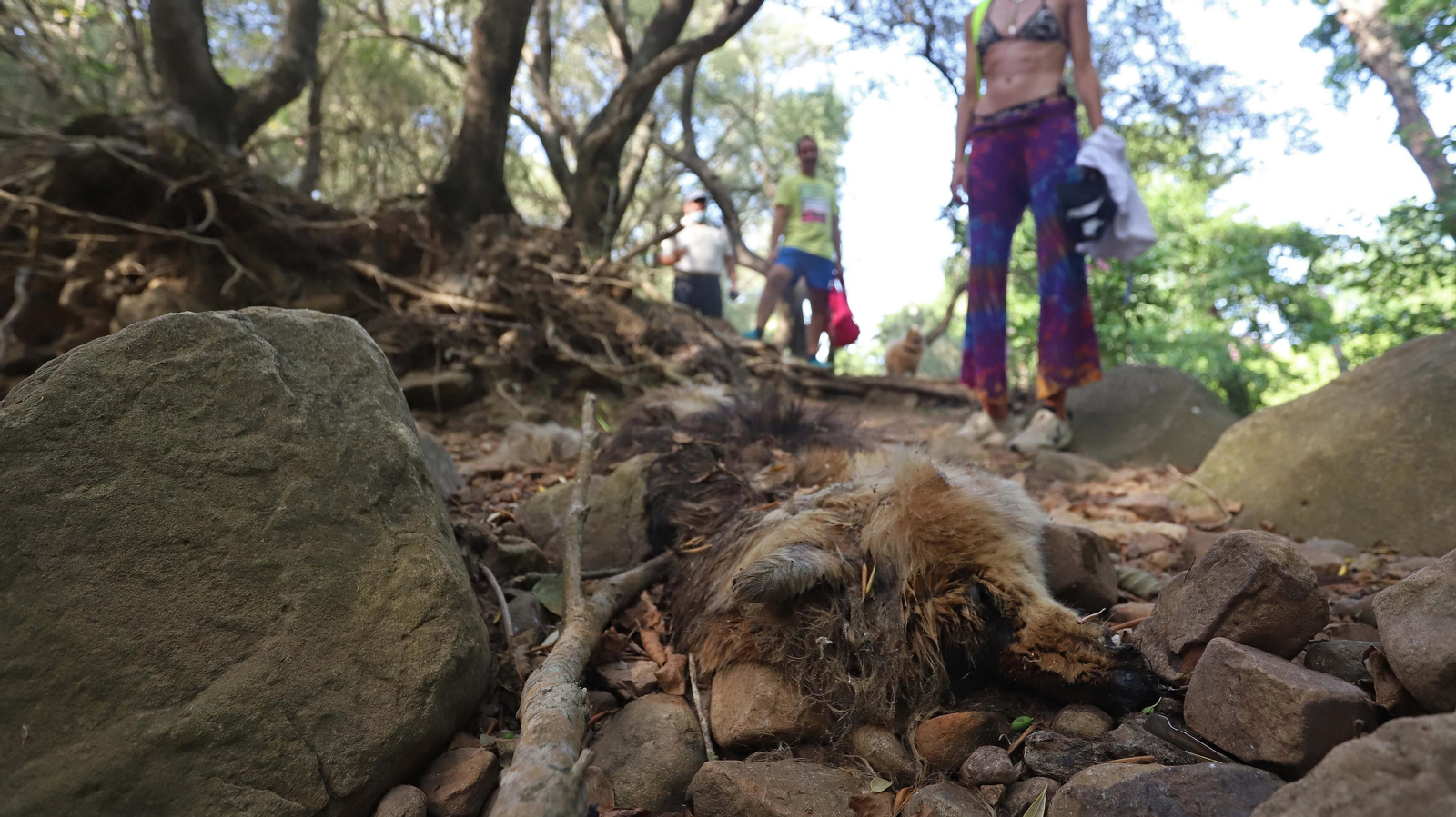 Basura en el sendero del Río de la Miel