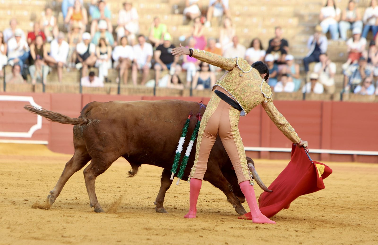 Novillada El Melli, Aarón Palacios y Manuel Jesús  Carrión