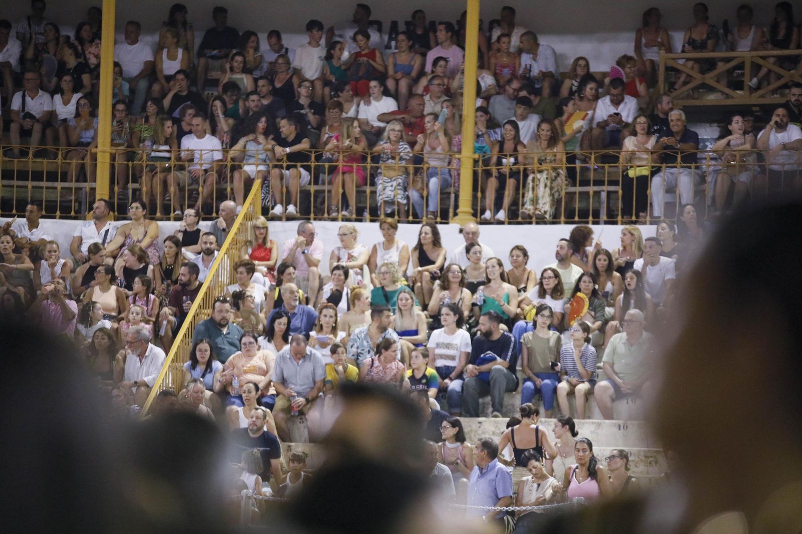 Concierto de Luis Fonsi en Almería