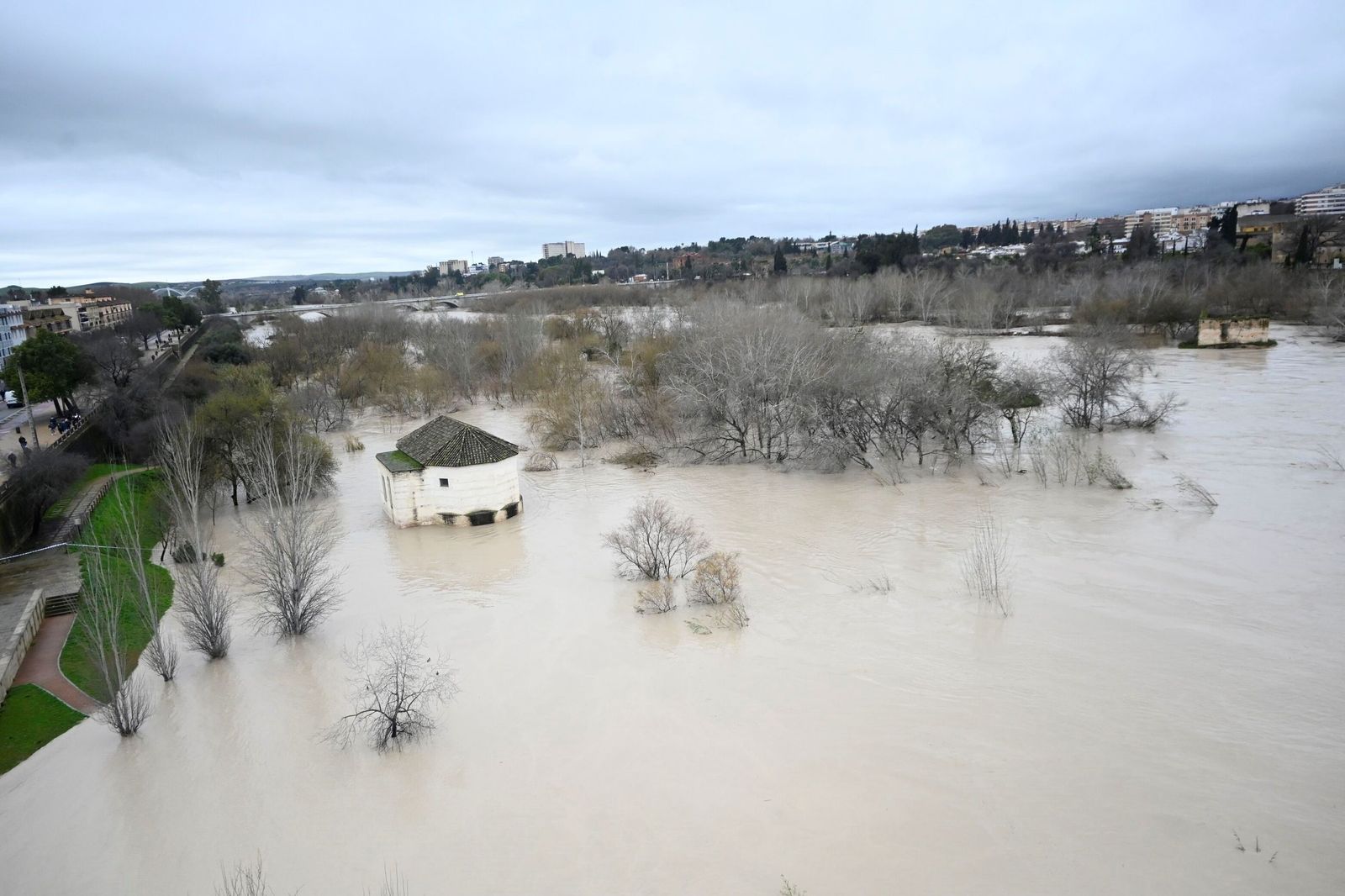 La impresionante crecida del río Guadalquivir: se acerca a los 6 metros a su paso por Córdoba
