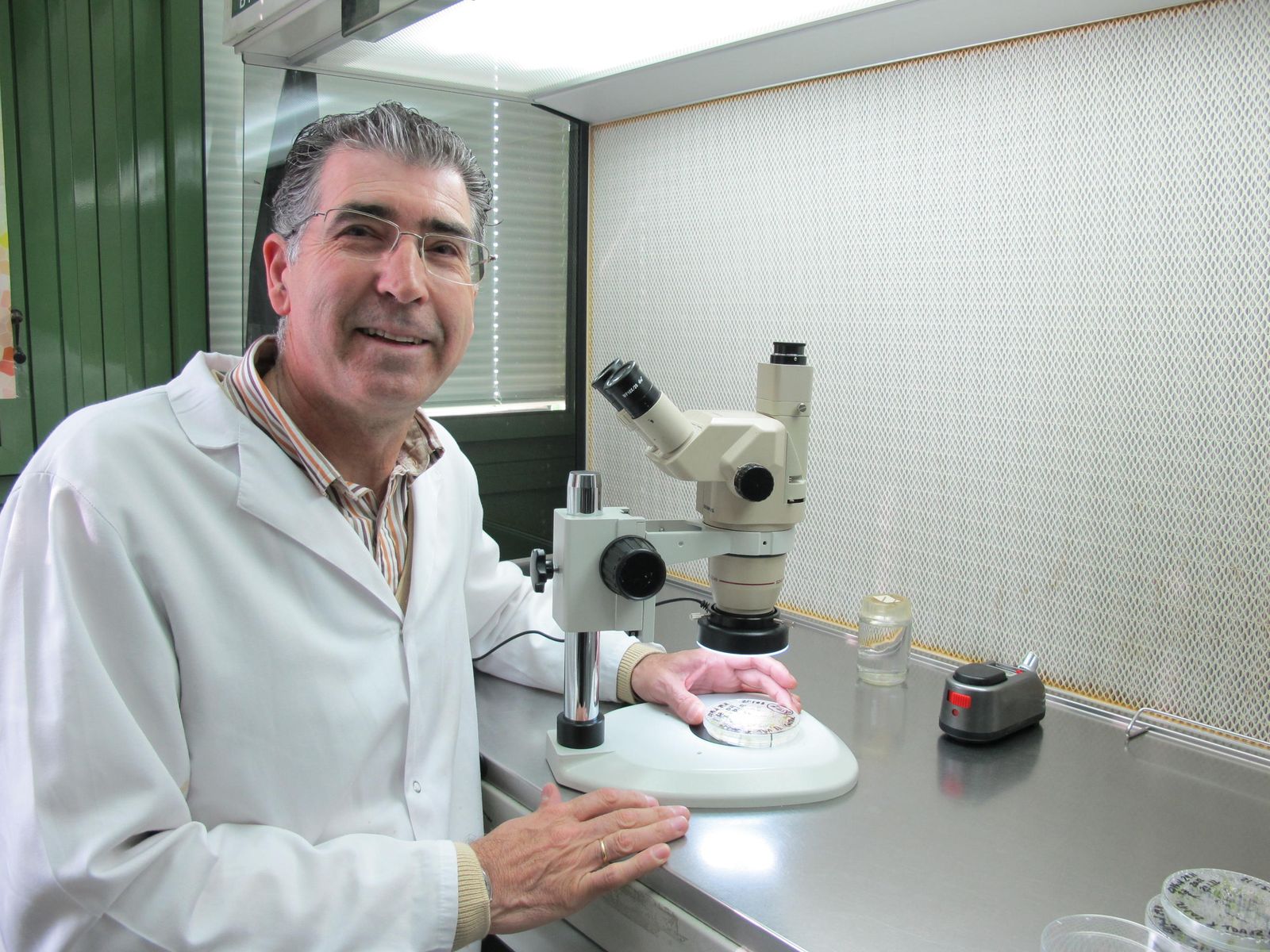 El investigador Francisco Barro, en el laboratorio del Instituto de Agricultura Sostenible del Consejo Superior de Investigaciones Científicas.