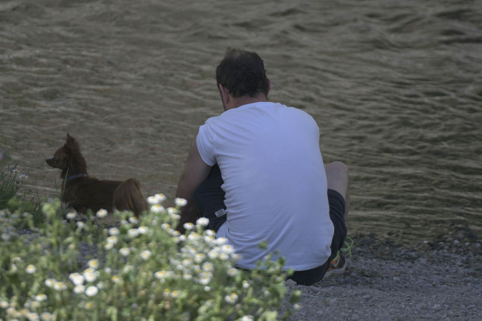La desescalada se desmadra en Granada: bañistas en el río Genil
