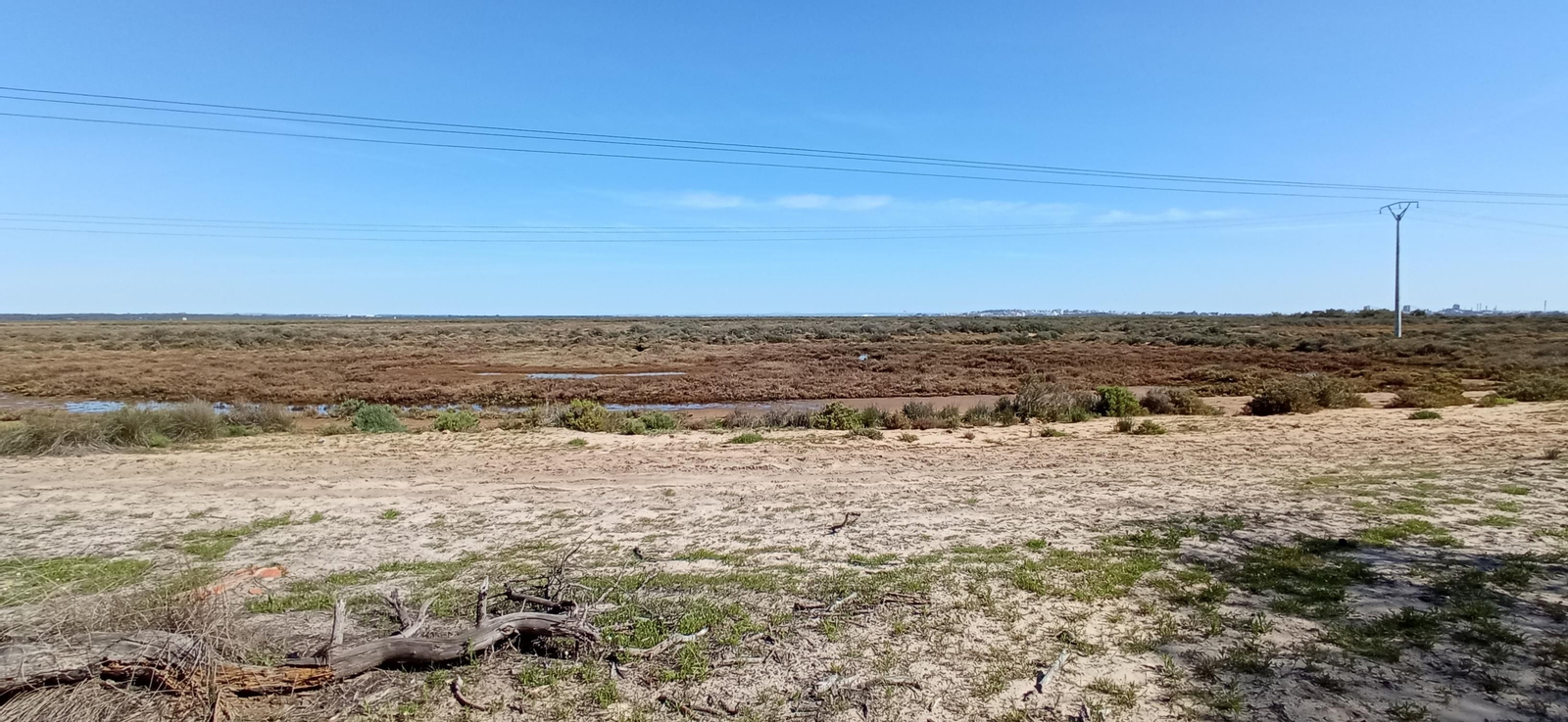 Las imágenes de la ruta de las salinas del Astur y los pinares de Punta Umbría