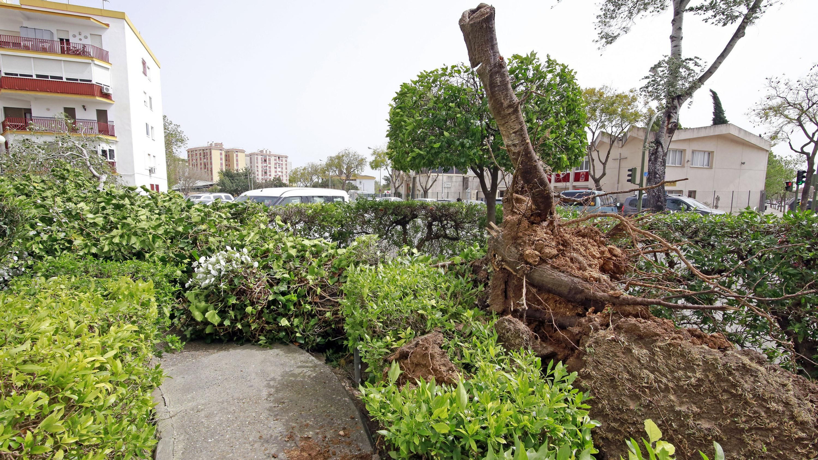 Imágenes de los destrozos ocasionados por el fuerte temporal