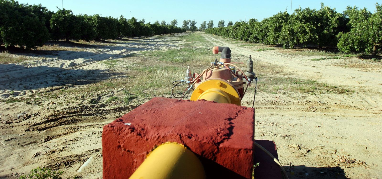 Imagen de un pozo autorizado en una finca en el entorno del Parque Nacional de Doñana.