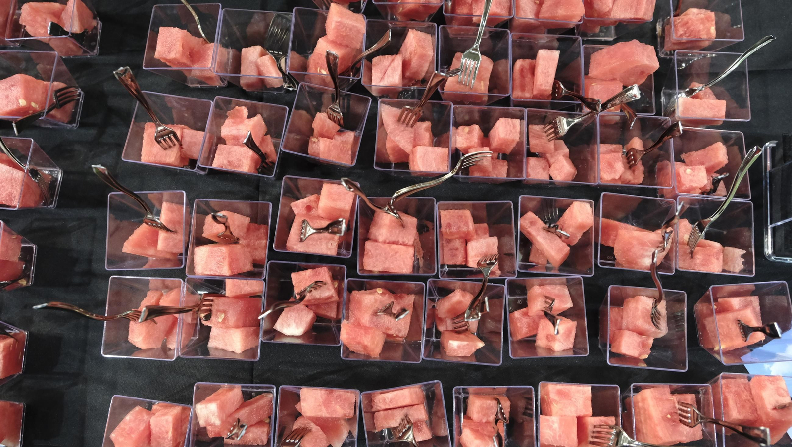 Tercer día de Infoagro Exhibition, en imágenes